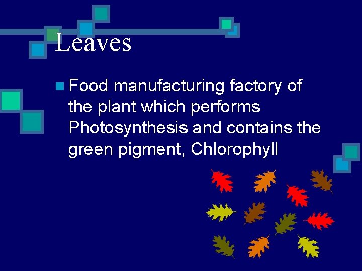 Leaves n Food manufacturing factory of the plant which performs Photosynthesis and contains the