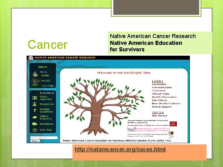 Cancer Native American Cancer Research Native American Education for Survivors http: //natamcancer. org/naces. html