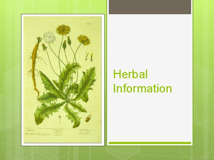 Herbal Information 