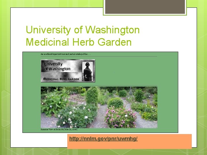 University of Washington Medicinal Herb Garden http: //nnlm. gov/pnr/uwmhg/ 