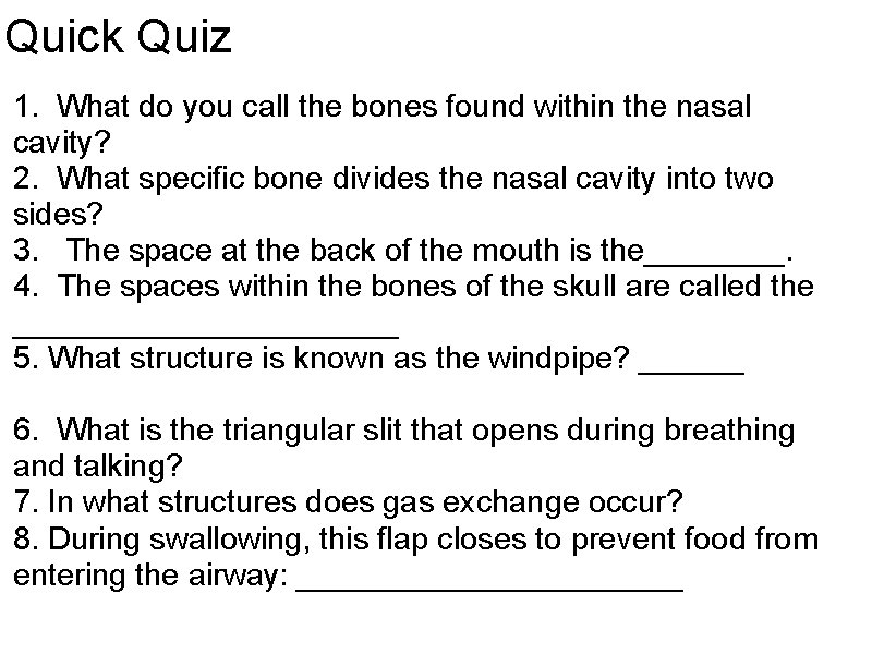 Quick Quiz 1. What do you call the bones found within the nasal cavity? Quick Quiz 1. What do you call the bones found within the nasal cavity?