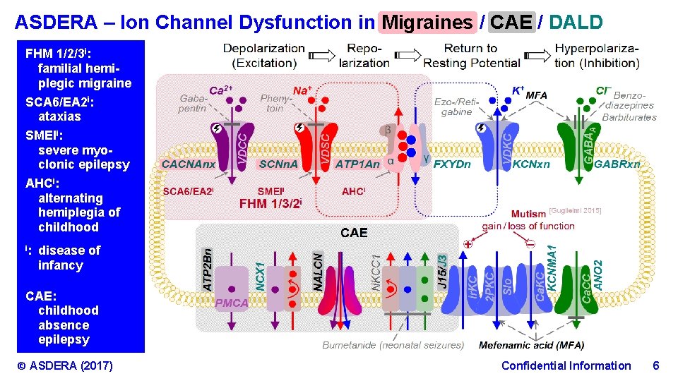 ASDERA – Ion Channel Dysfunction in Migraines / CAE / DALD FHM 1/2/3 i: