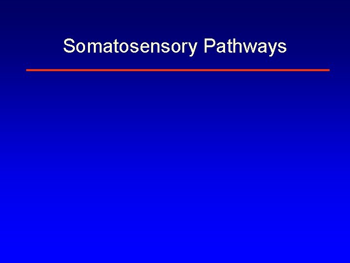 Somatosensory Pathways 