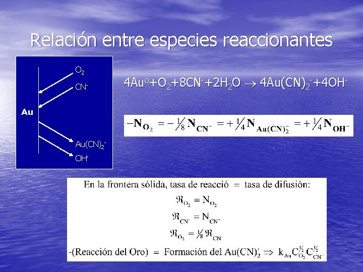 Relación entre especies reaccionantes O 2 CNAu Au(CN)2 OH- 4 Auo+O 2+8 CN-+2 H Relación entre especies reaccionantes O 2 CNAu Au(CN)2 OH- 4 Auo+O 2+8 CN-+2 H