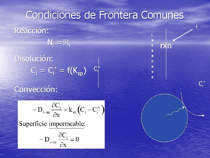 Condiciones de Frontera Comunes i Reacción: Ni = i I N T E Disolución: Condiciones de Frontera Comunes i Reacción: Ni = i I N T E Disolución: