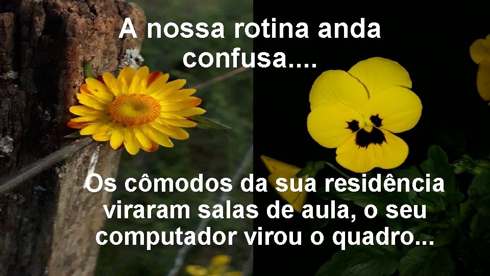 A nossa rotina anda confusa. . Os cômodos da sua residência viraram salas de