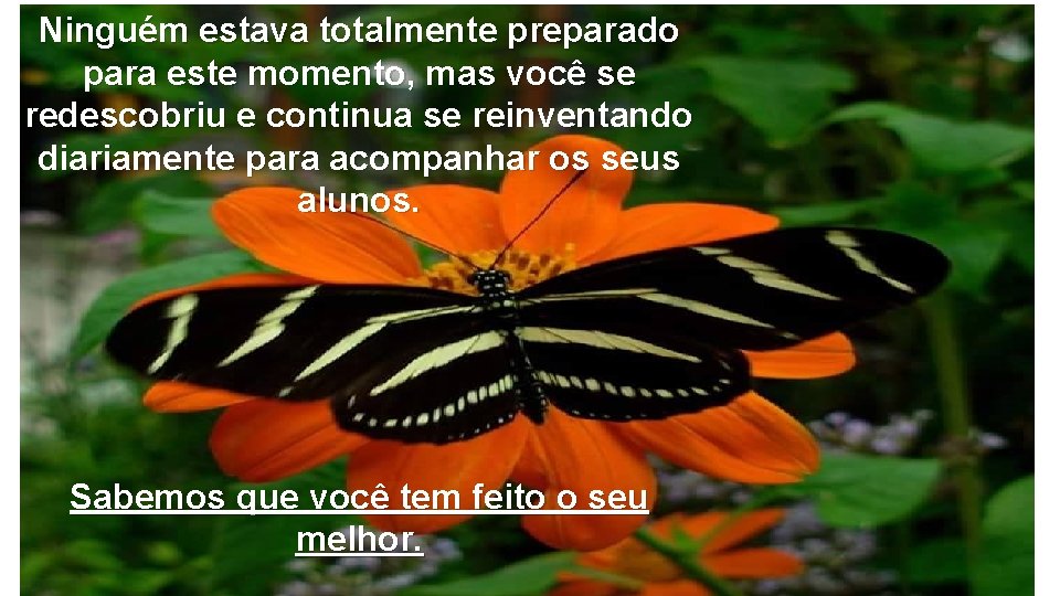 Ninguém estava totalmente preparado para este momento, mas você se redescobriu e continua se