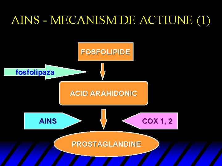 AINS - MECANISM DE ACTIUNE (1) FOSFOLIPIDE fosfolipaza ACID ARAHIDONIC AINS COX 1, 2