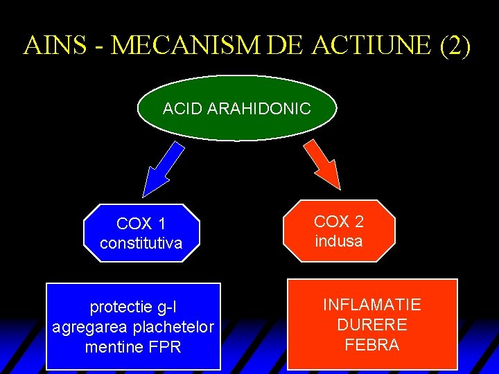 AINS - MECANISM DE ACTIUNE (2) ACID ARAHIDONIC COX 1 constitutiva protectie g-I agregarea