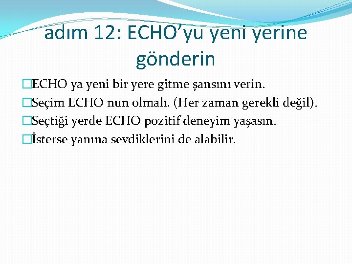 adım 12: ECHO’yu yeni yerine gönderin �ECHO ya yeni bir yere gitme şansını verin.