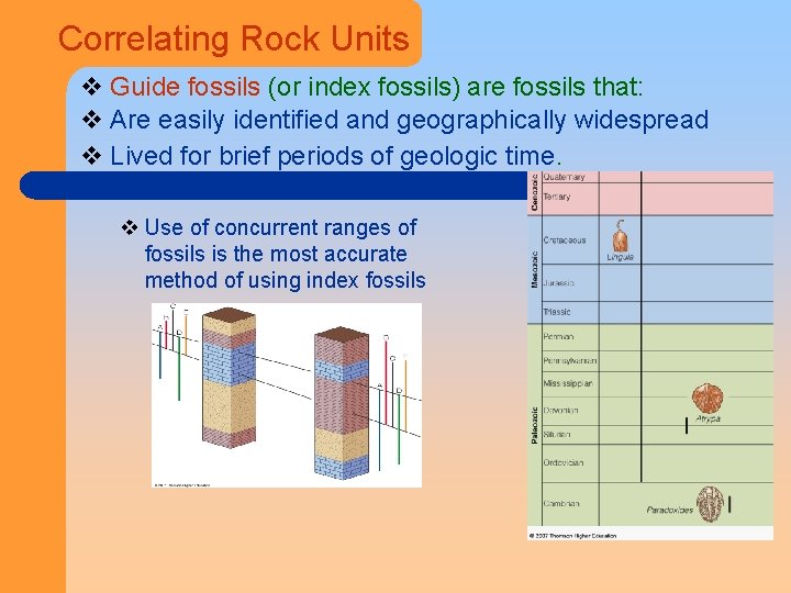 Correlating Rock Units v Guide fossils (or index fossils) are fossils that: v Are