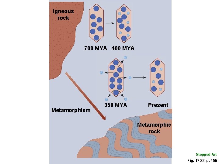 Igneous rock 700 MYA 400 MYA Metamorphism 350 MYA Present Metamorphic rock Stepped Art