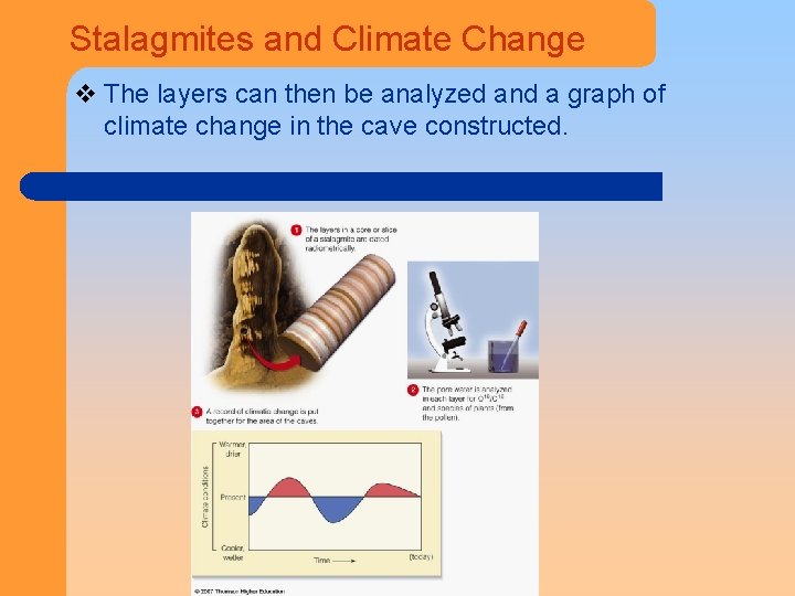 Stalagmites and Climate Change v The layers can then be analyzed and a graph