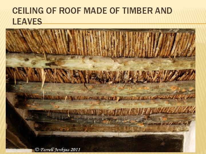 CEILING OF ROOF MADE OF TIMBER AND LEAVES 