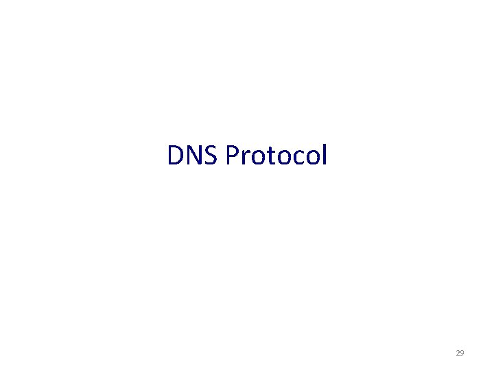 DNS Protocol 29 