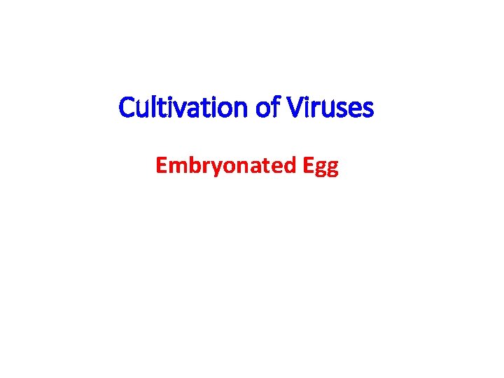 Cultivation of Viruses Embryonated Egg 