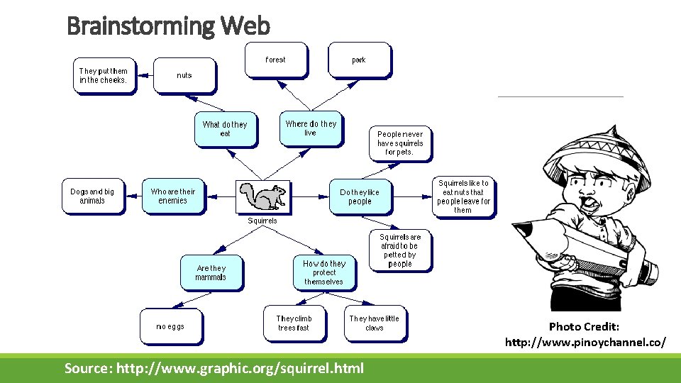 Brainstorming Web Photo Credit: http: //www. pinoychannel. co/ Source: http: //www. graphic. org/squirrel. html