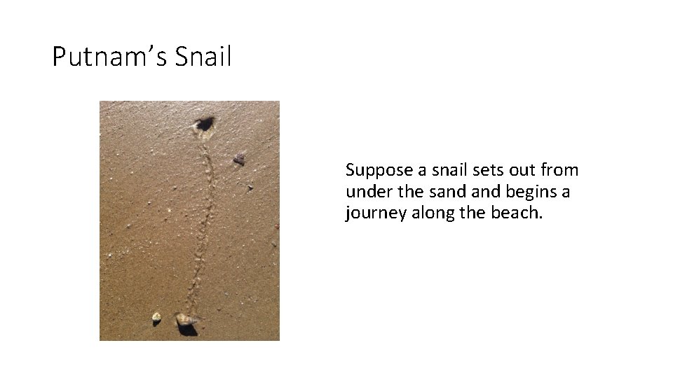 Putnam’s Snail Suppose a snail sets out from under the sand begins a journey