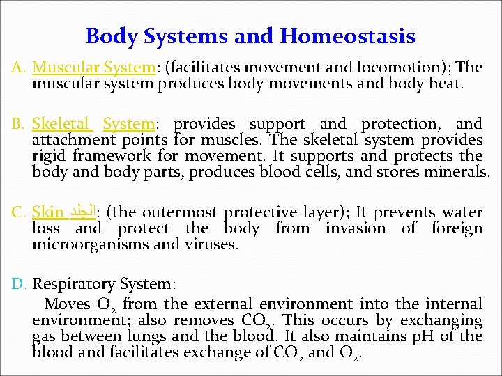 Body Systems and Homeostasis A. Muscular System: (facilitates movement and locomotion); The muscular system