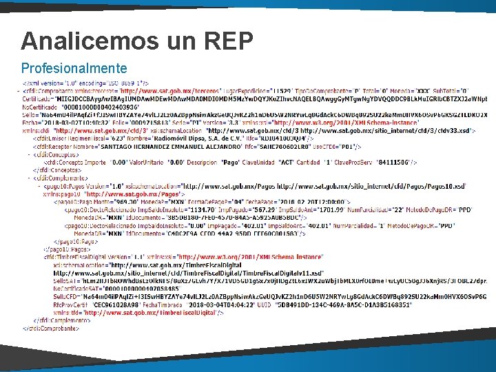 Analicemos un REP Profesionalmente Analicemos un REP Profesionalmente