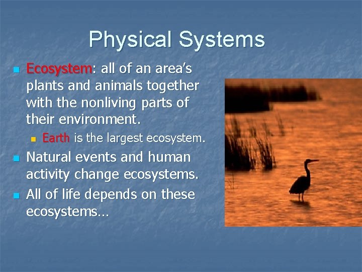 Physical Systems n Ecosystem: all of an area’s plants and animals together with the