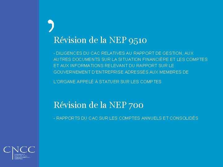 Révision de la NEP 9510 - DILIGENCES DU CAC RELATIVES AU RAPPORT DE GESTION,