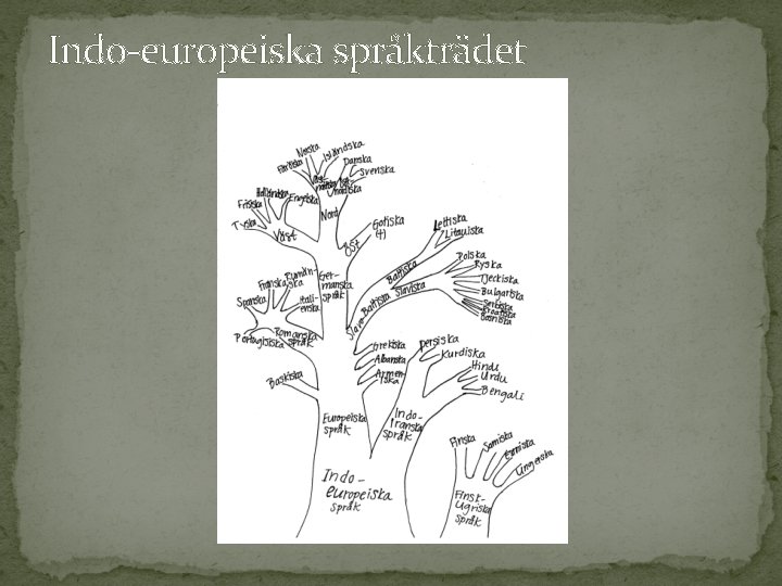 Indo-europeiska språkträdet 