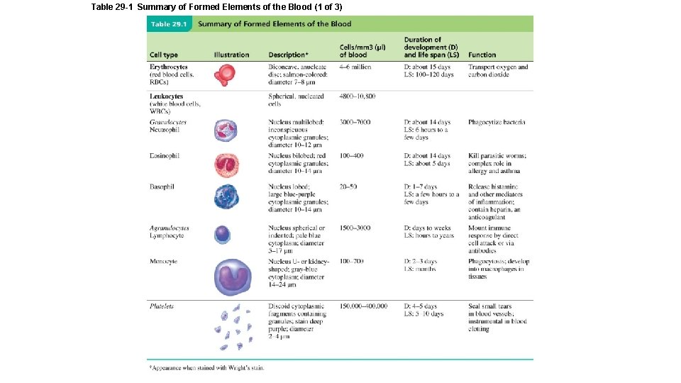 Table 29 -1 Summary of Formed Elements of the Blood (1 of 3) 