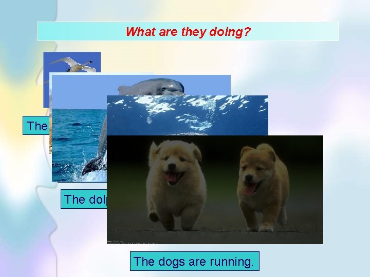 What are they doing? The birds are flying. The elephant is walking. The dolphin