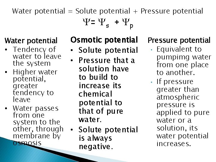 Water potential = Solute potential + Pressure potential = s + p Water potential