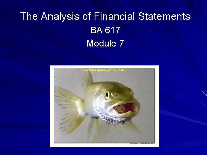 The Analysis of Financial Statements BA 617 Module 7 