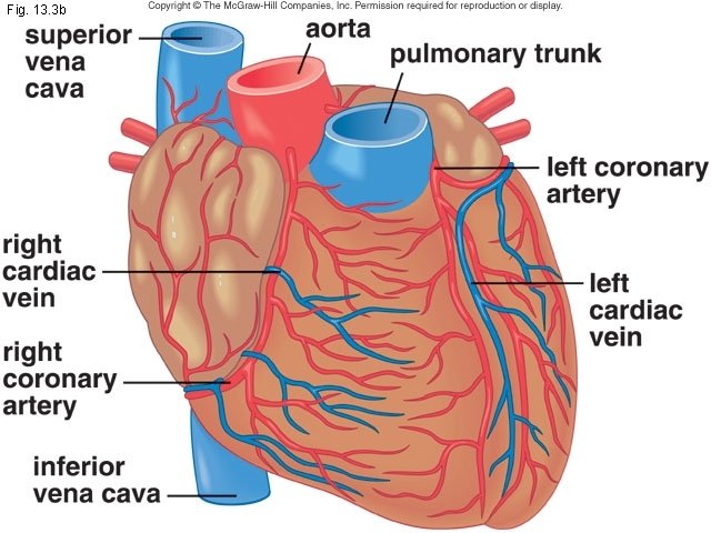 Fig. 13. 3 b 