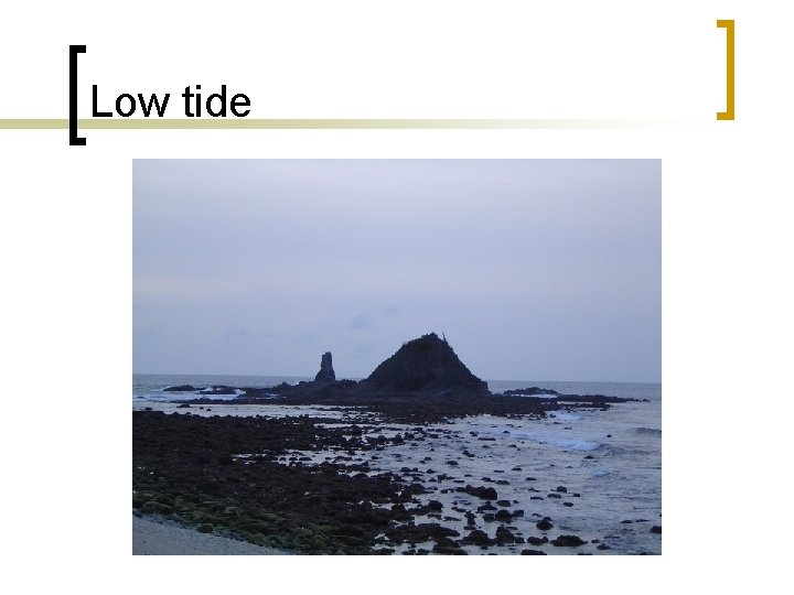 Low tide 