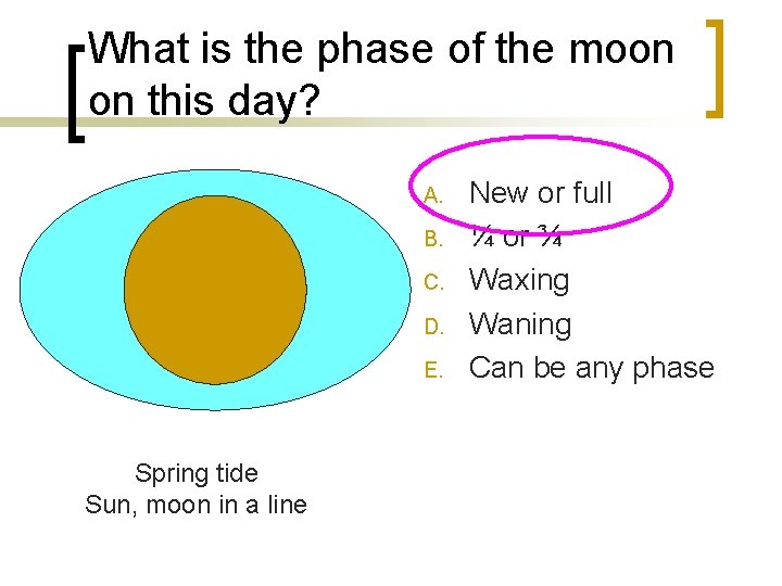 What is the phase of the moon on this day? A. B. C. D.