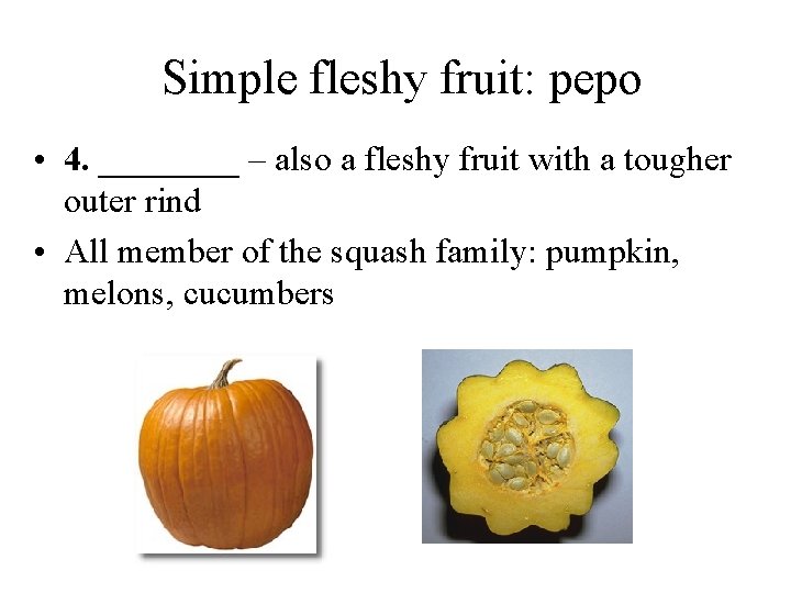 Simple fleshy fruit: pepo • 4. ____ – also a fleshy fruit with a