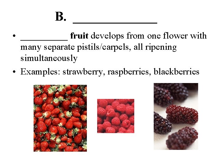 B. _______ • _____ fruit develops from one flower with many separate pistils/carpels, all