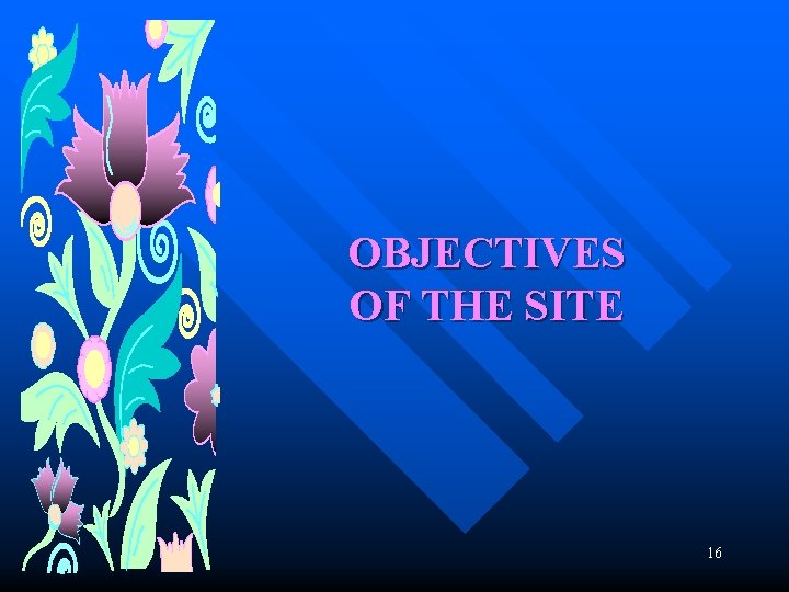 OBJECTIVES OF THE SITE 16 