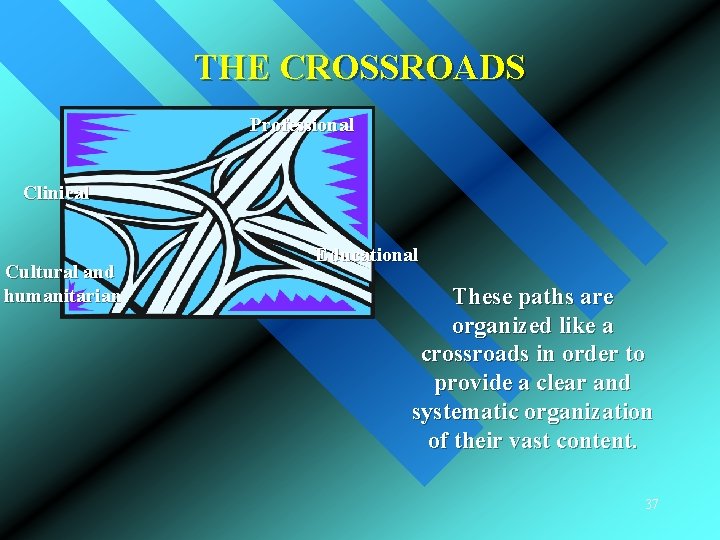 THE CROSSROADS Professional Clinical Cultural and humanitarian Educational These paths are organized like a