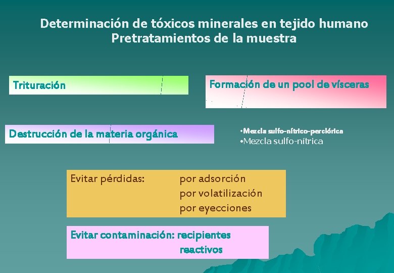 Determinación de tóxicos minerales en tejido humano Pretratamientos de la muestra Formación de un