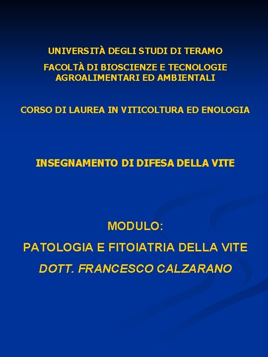 UNIVERSITÀ DEGLI STUDI DI TERAMO FACOLTÀ DI BIOSCIENZE E TECNOLOGIE AGROALIMENTARI ED AMBIENTALI CORSO