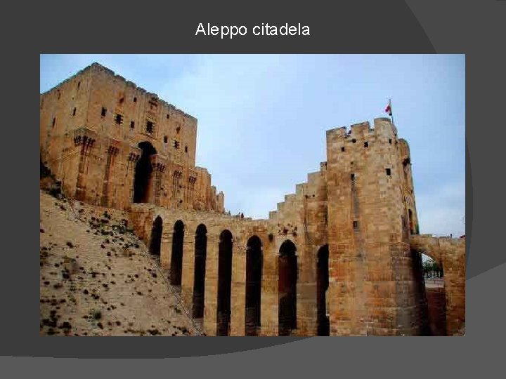 Aleppo citadela 