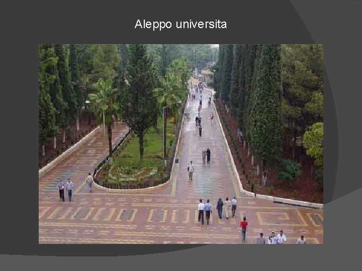 Aleppo universita 
