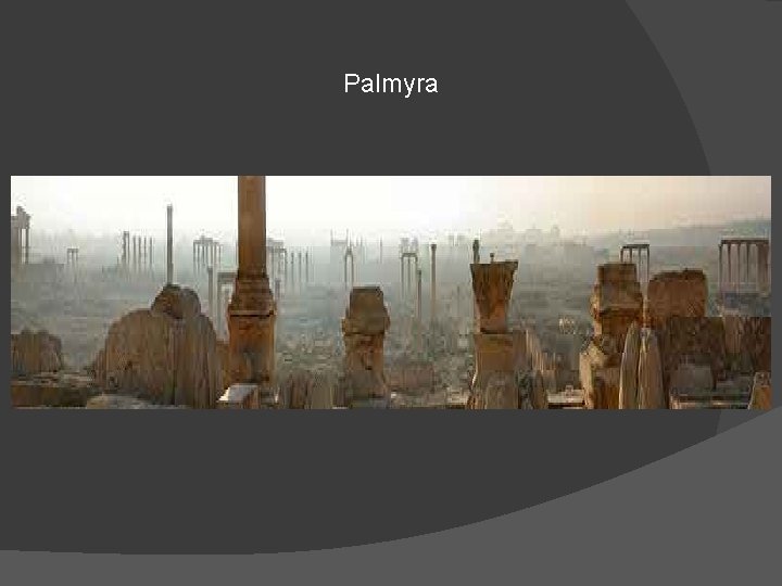 Palmyra 