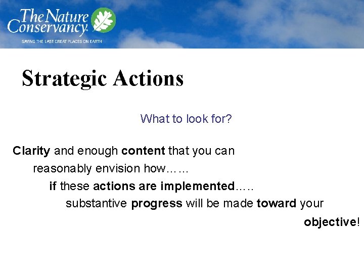 Strategic Actions What to look for? Clarity and enough content that you can reasonably