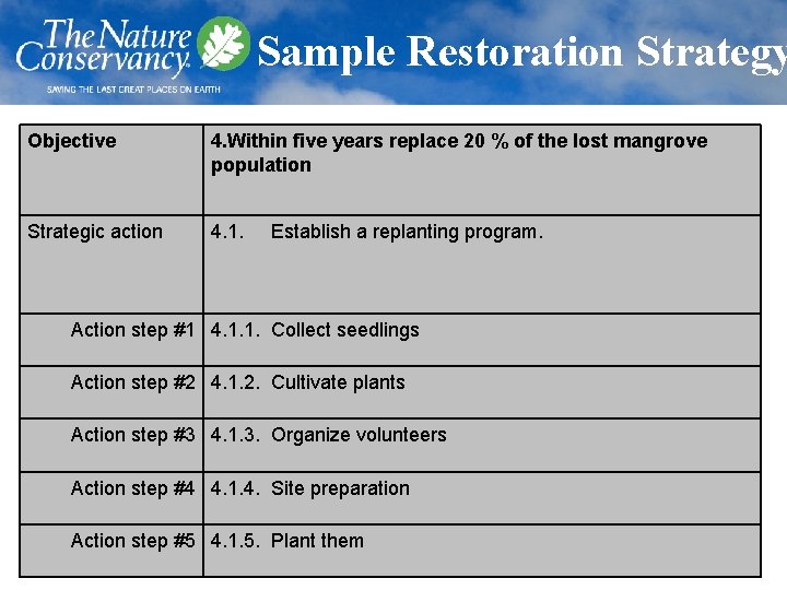 Sample Restoration Strategy Objective 4. Within five years replace 20 % of the lost