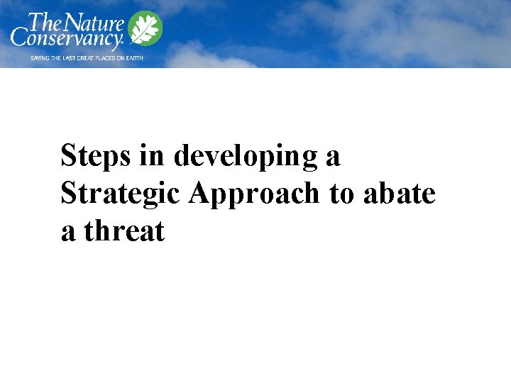 Steps in developing a Strategic Approach to abate a threat 