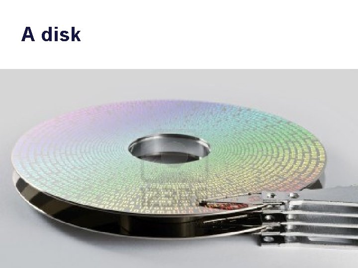 A disk 