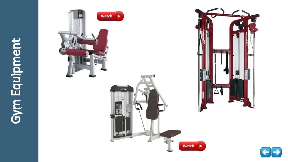 Gym Equipment 