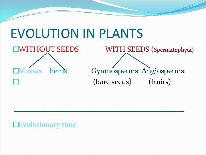 EVOLUTION IN PLANTS �WITHOUT SEEDS �Mosses � Ferns �Evolutionary time WITH SEEDS (Spermatophyta) Gymnosperms