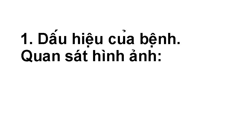 Nm Hc 19 Gio Vin Hong Th